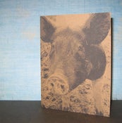 Image of Farm Animals - Set of 6 note cards