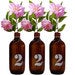 Image of Medium numbered Bottles/Vase
