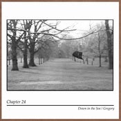 Image of Chapter 24 - Gregory/Down In The Sea