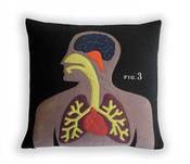 Image of Anatomy Pillow