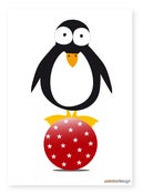 Image of Circus Penguin