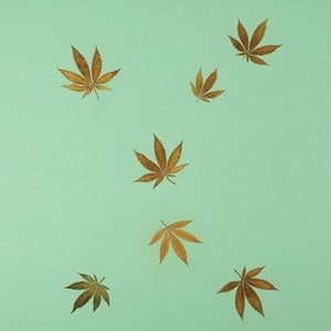 Image of hype williams untitled 12"