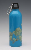 Image of BPA Free, Stainless Steel Bottles by Earthlust - 1 litre