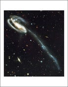 Image of The Tadpole Galaxy - The Victim of a Cosmic Collision 