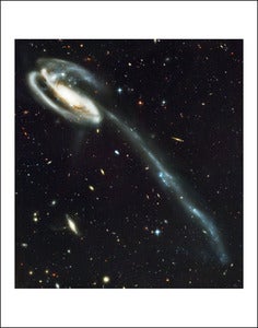 Image of The Tadpole Galaxy - The Victim of a Cosmic Collision 