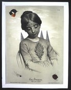 Image of OrangeBlue Bird / Sister 3