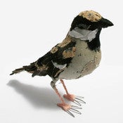 Image of HOUSE SPARROW