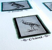 Image of Oil Spill Relief Item - Special Tweet Bird card pack (3 cards)