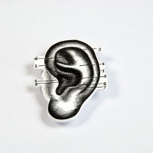 Image of BROOCH - the ear: la, la, lar... i'm not listening