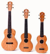 Image of Loprinzi Model A Cherry Soprano