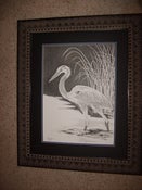 Image of Blue Heron, Black Water