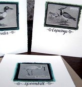 Image of Special Tweet Birds (three cards) - Oil Spill Item