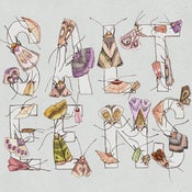 Image of Moths