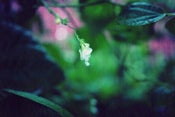 Image of Then I saw you.