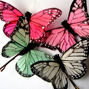 Image of Butterfly Hairclips - 7 colours available