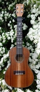 Image of Kala Acacia Concert with lite case