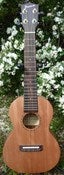 Image of Pono Mahogany Series Concert
