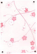 Image of "Cherry Blossoms"
