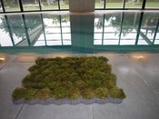 Image of Socle seulement / Base only
