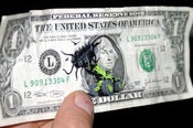 Image of Squids and Dollars - Mini Stencil