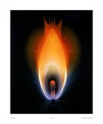 Image of FLAME/ MarVines