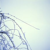 Image of "The Rhythm Of Snow iii"