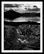 Image of SP07-Gull's Nest, Midsummer Eve,  Isle of Skye 1947