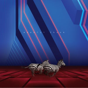 Image of Adebisi Shank - This Is The Second Album... CD