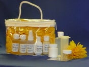 Image of Travel Skin Care Kit #100