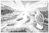 Image of Wings Over the Platte