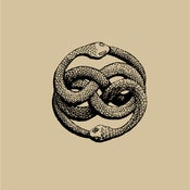 Image of Auryn