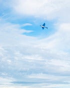 Image of Kite, 24x28 (FRAMED PRINT)