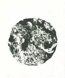 Image of World