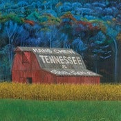 Image of Hans Chew - "Tennessee & Other Stories..." - 12" LP, w/free MP3 download coupon included