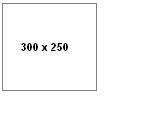 Image of 300x250 MPU