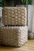 Image of Seagrass Cube