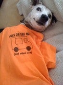 Image of Official "Joes on the Nose" T-Shirt- Now in Brown!
