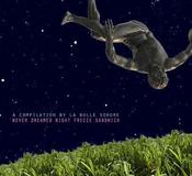 Image of Various Artists: Never Dreamed Night Freeze Sandwich
