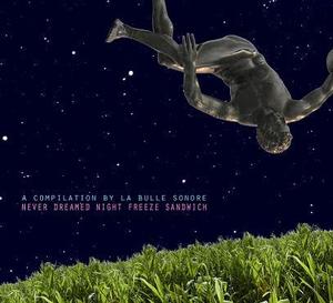 Image of Various Artists: Never Dreamed Night Freeze Sandwich