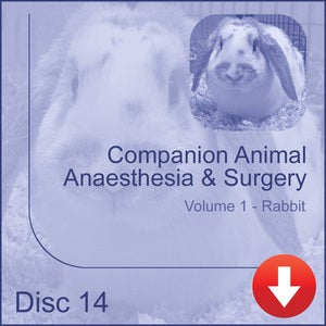 Image of Companion Animal Anaesthesia & Surgery - Rabbit