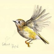 Image of Bird Watching Print - The Goldcrest in Flight