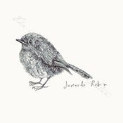 Image of Bird Watching Print - The Juvenile Robin