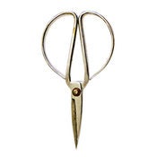 Image of Chinese Scissors