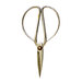 Image of Chinese Scissors