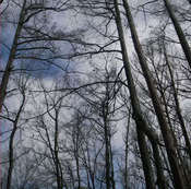 Image of Thou/Leech "We Pass Like Night, From Land to Land" LP (Gilead Media)