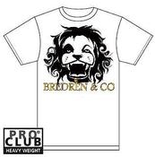 Image of BREDREN & CO T