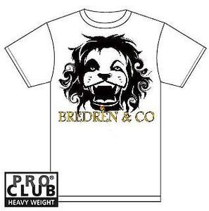 Image of BREDREN & CO T