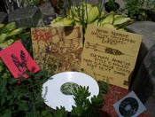 Image of ROGUE STATE "emic vs etic" LP w/ included CD
