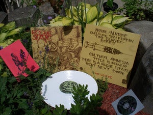 Image of ROGUE STATE "emic vs etic" LP w/ included CD