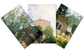 Image of Postcards, "Campus Architecture"